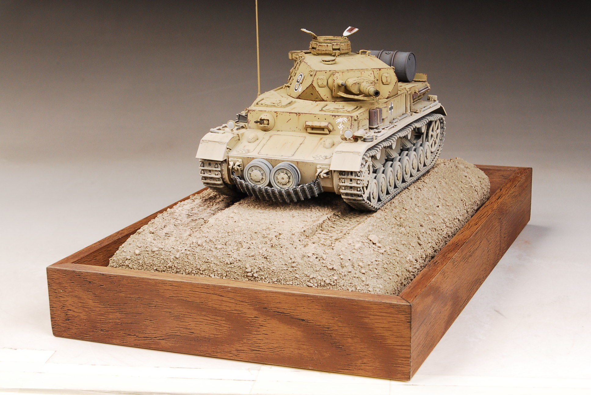 AwardWinner Built Dragon 1/35 Panzer IV Ausf.E Africa Diorama +PE